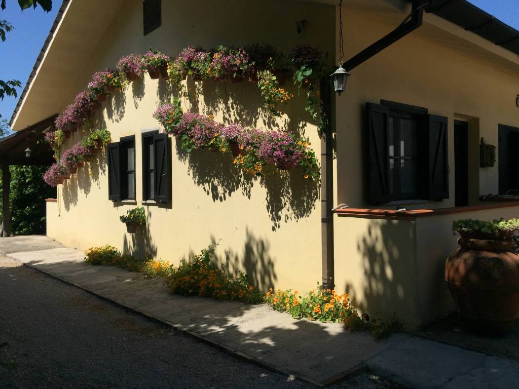Rustico / casale a Sabaudia in Via Migliara 51 - Foto 3