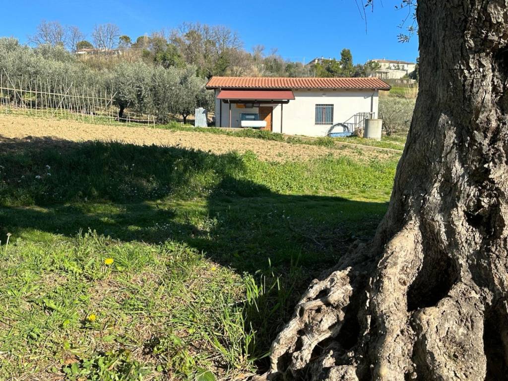 Terreno a Atri in Contrada Colle Petitto - Foto 2
