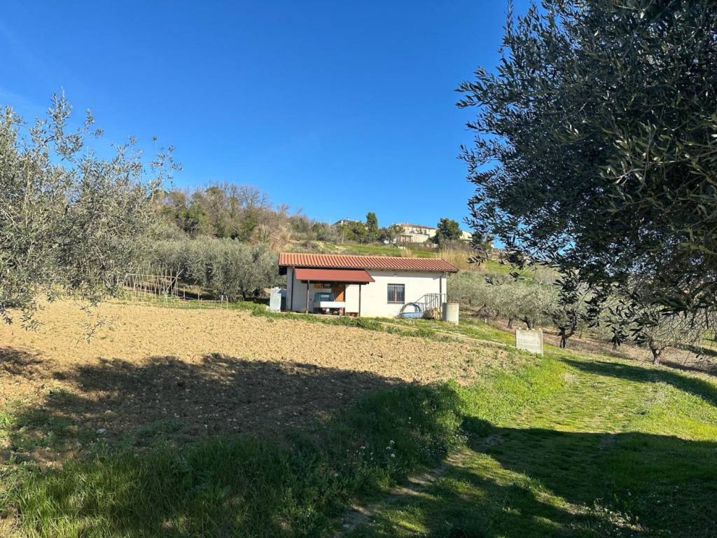 Terreno a Atri in Contrada Colle Petitto - Foto 3