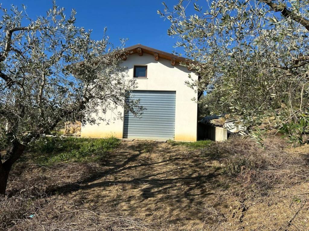 Terreno a Atri in Contrada Colle Petitto - Foto 5