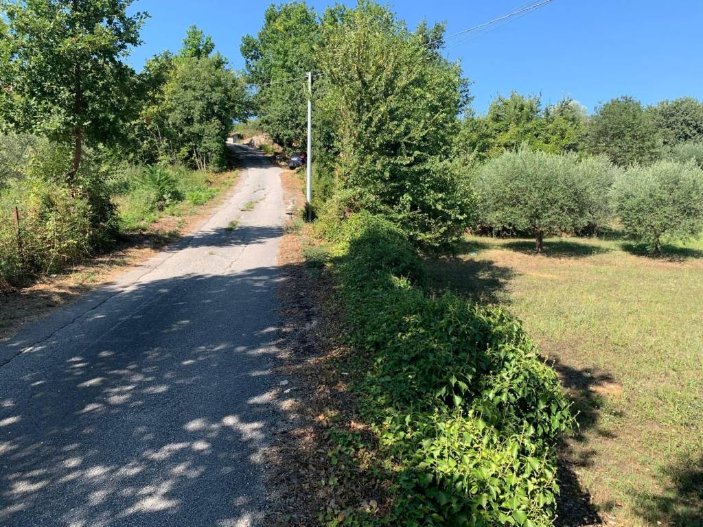 Terreno a Fontechiari in Contrada Macciocca - Foto 5