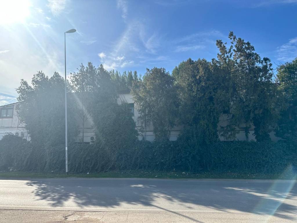 Appartamento a Foggia in Via Trinitapoli, 2 - Foto 2