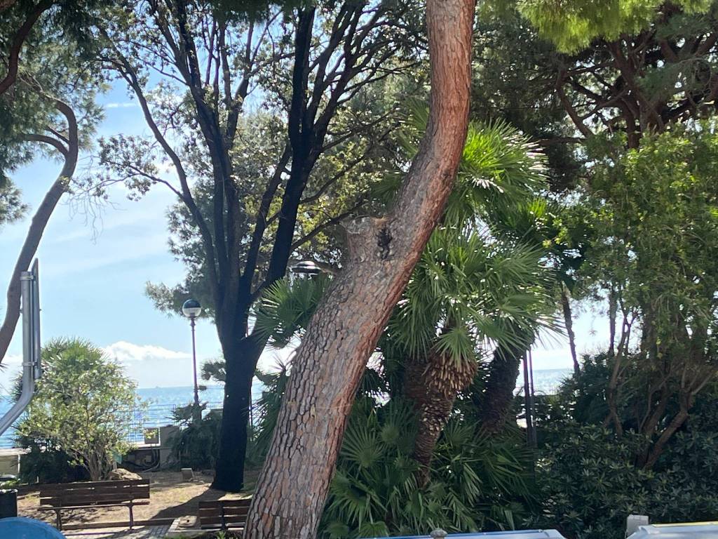 Appartamento a Spotorno in Via Camillo Benso di Cavour, 8 - Foto 4