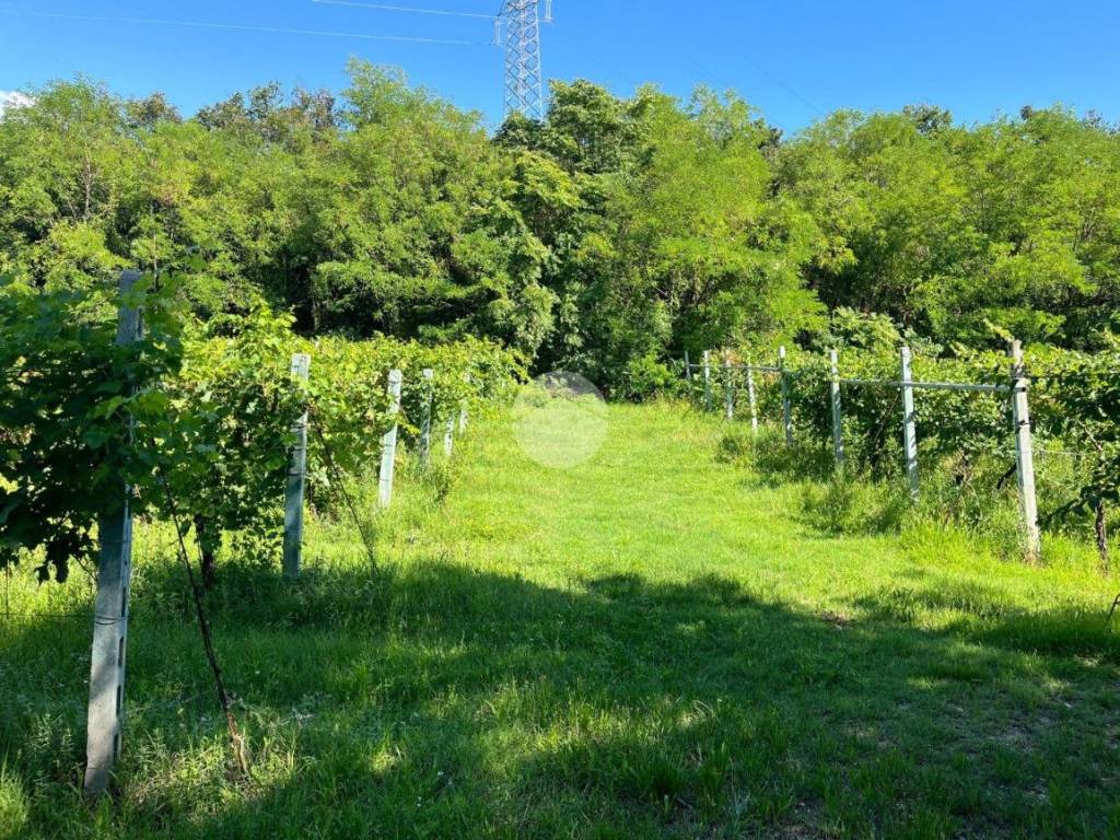 Terreno a Caprino veronese in Pontare ceredello - Foto 5
