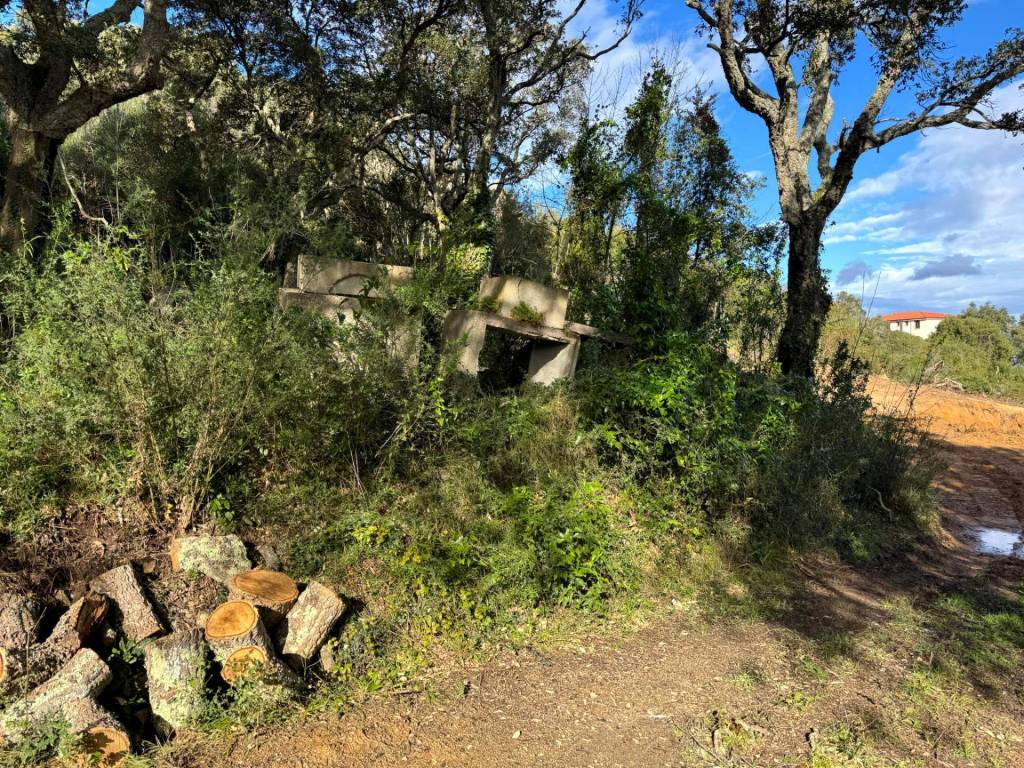 Terreno a Luogosanto - Foto 4