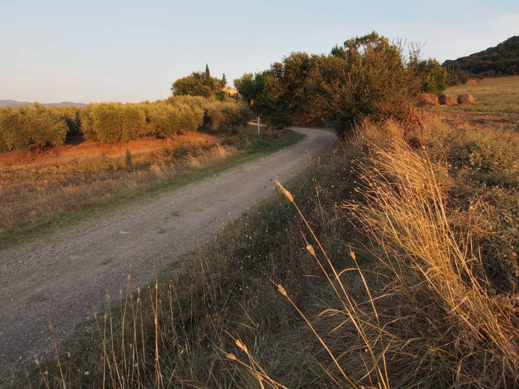 Terreno a Castel del piano - Foto 3