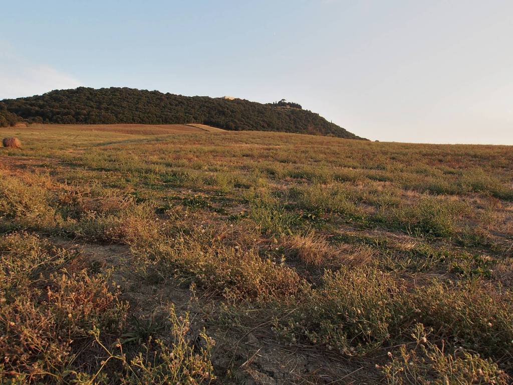 Terreno a Castel del piano - Foto 4