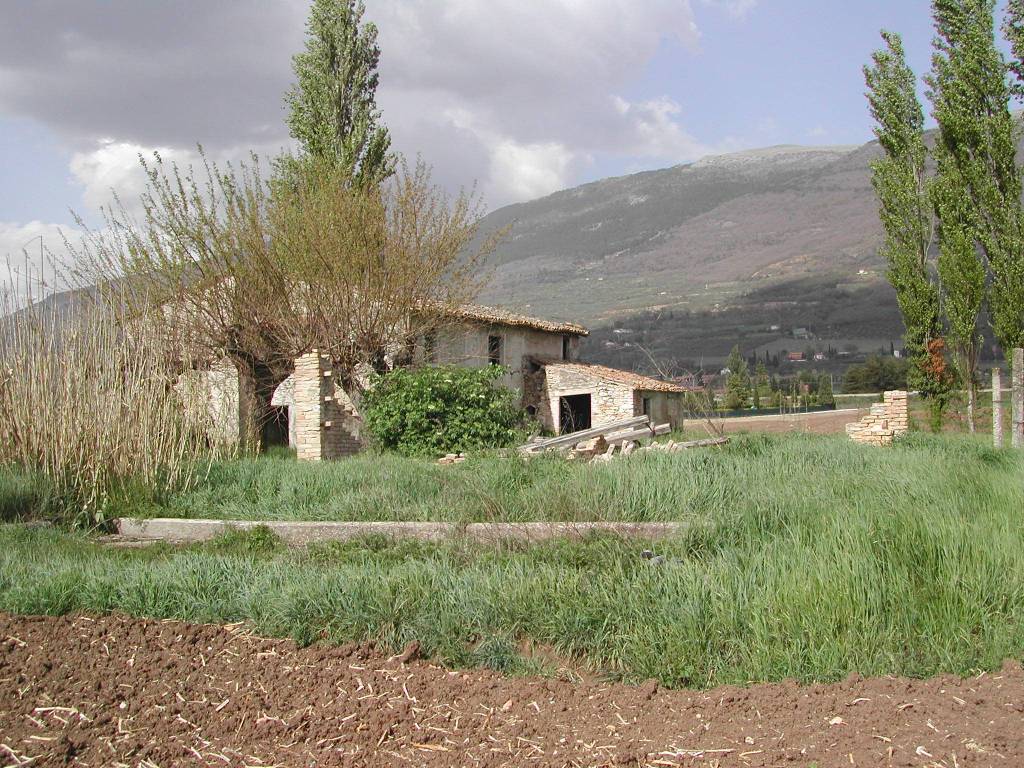 Rustico / casale a Cannara in Strada Provinciale di Cannara - Foto 5