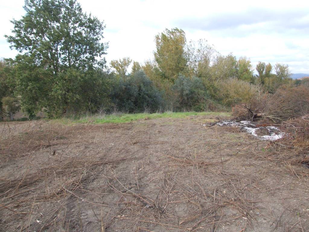 Rustico / casale a Calvi in Via Bosco Sant'Agnese, 41 - Foto 5