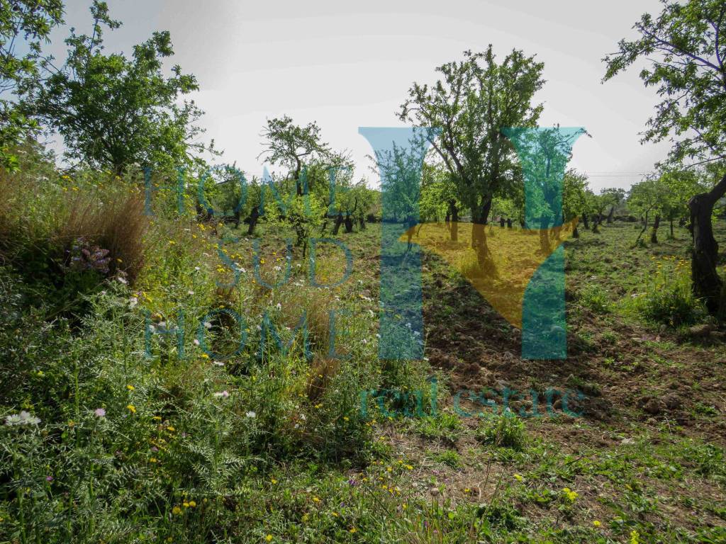 Terreno a Noto in Via Tommaso Fazello, 228 - Foto 2