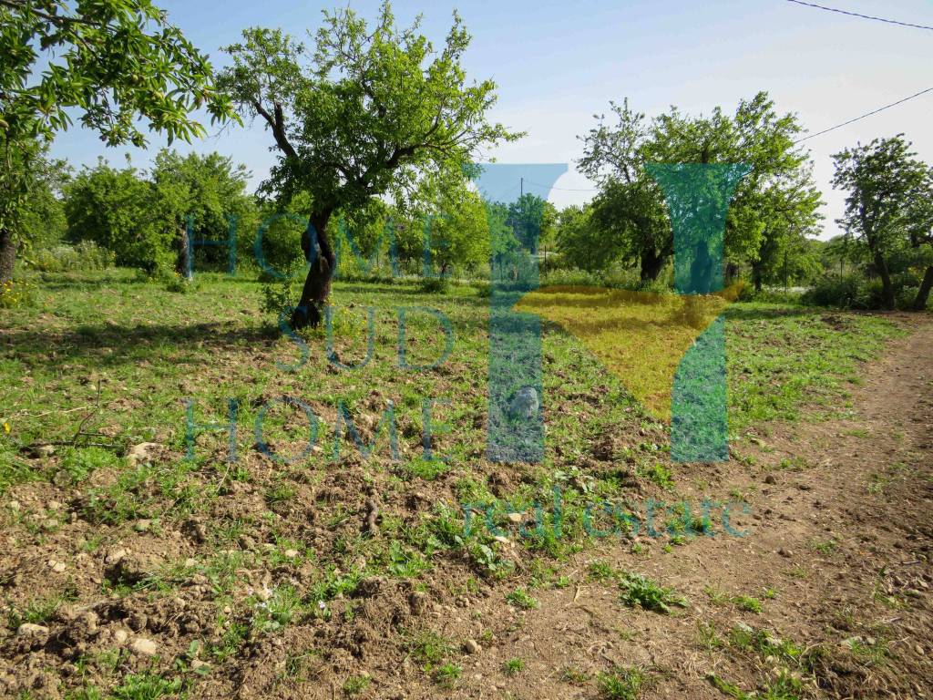 Terreno a Noto in Via Tommaso Fazello, 228 - Foto 4
