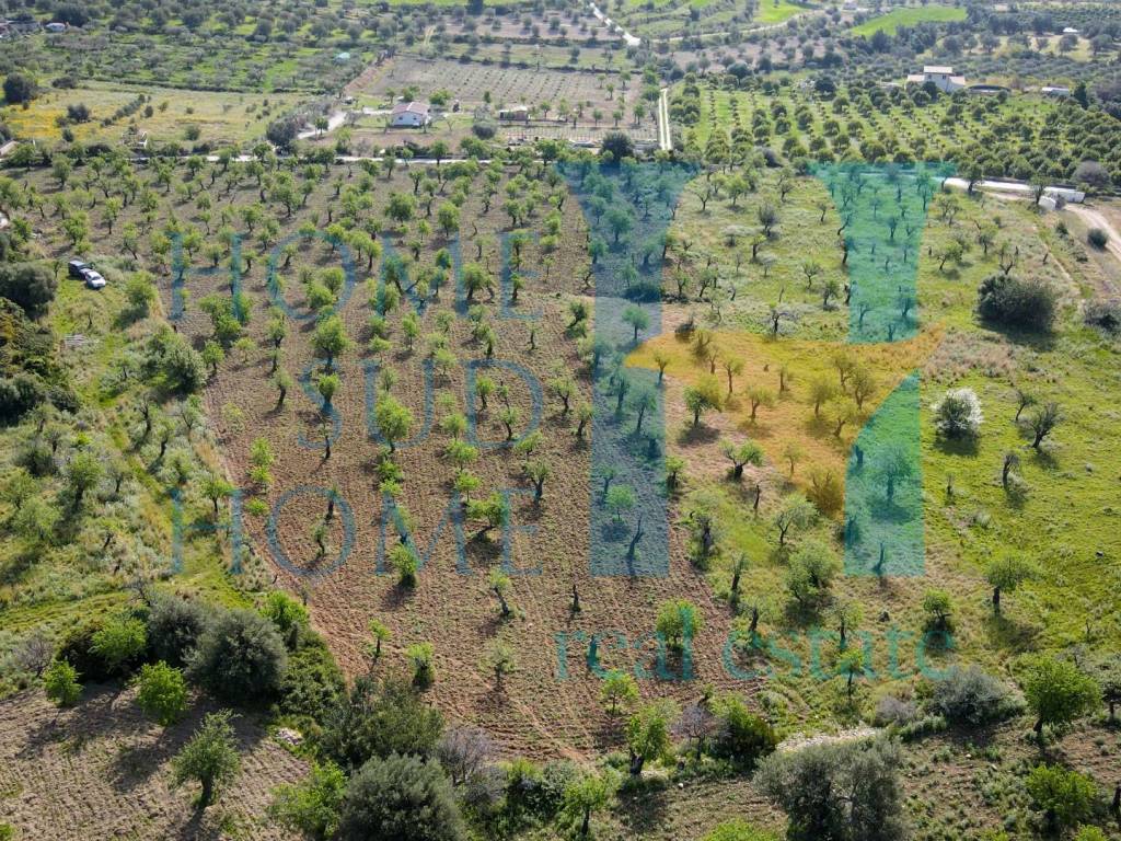 Terreno a Noto in Via Tommaso Fazello, 228 - Foto 5