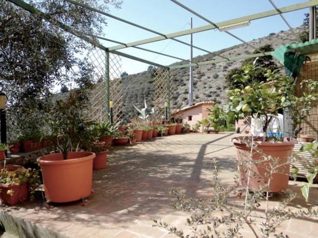 Rustico / casale a San giuliano terme in Via Giovan Battista Niccolini, 50 - Foto 2