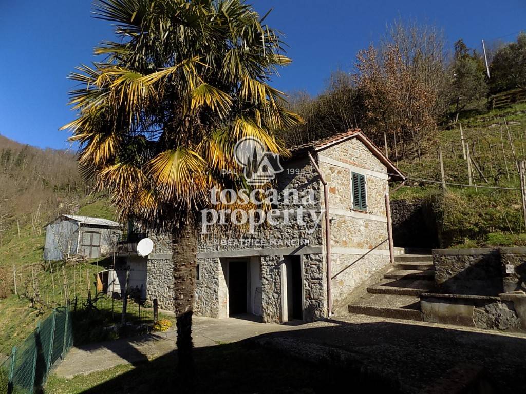 Rustico / casale a Barga in Località Albiano - Foto 3