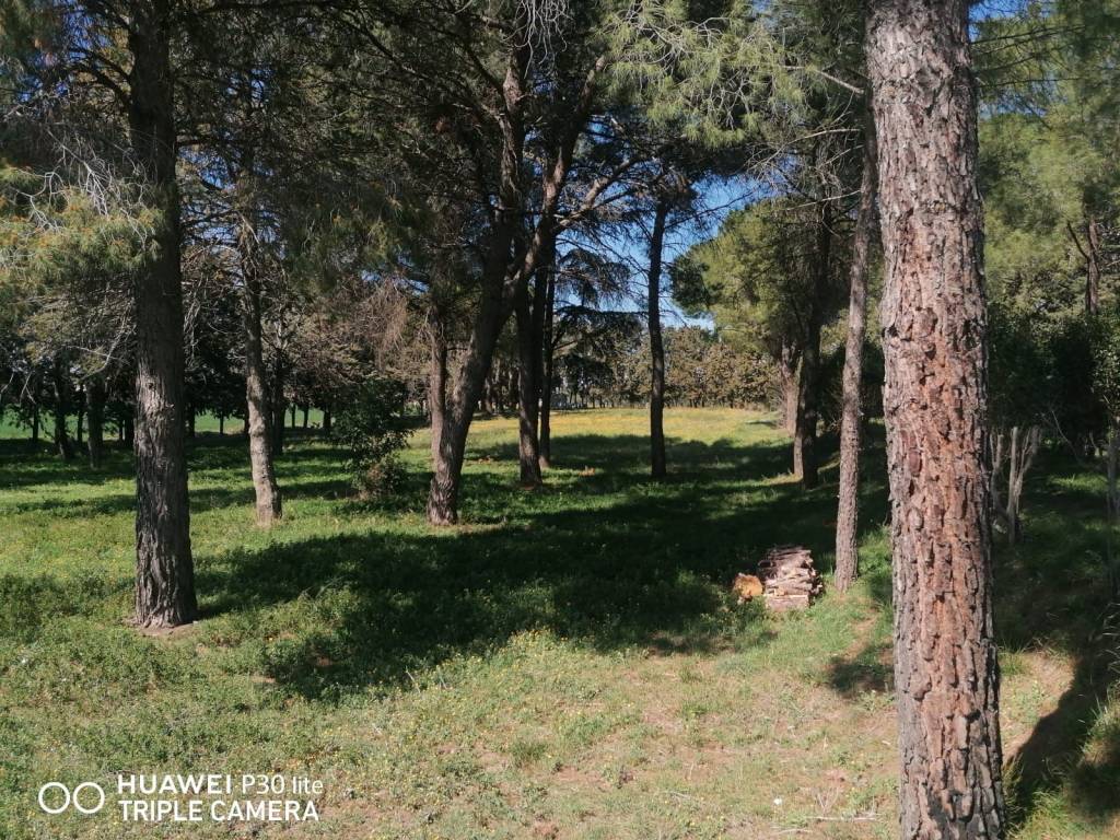 Terreno a Troia in SP115 - Foto 2