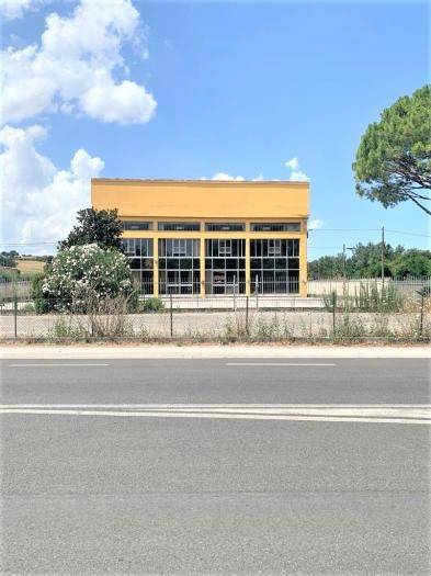 Immobile a Ostra vetere - Foto 4