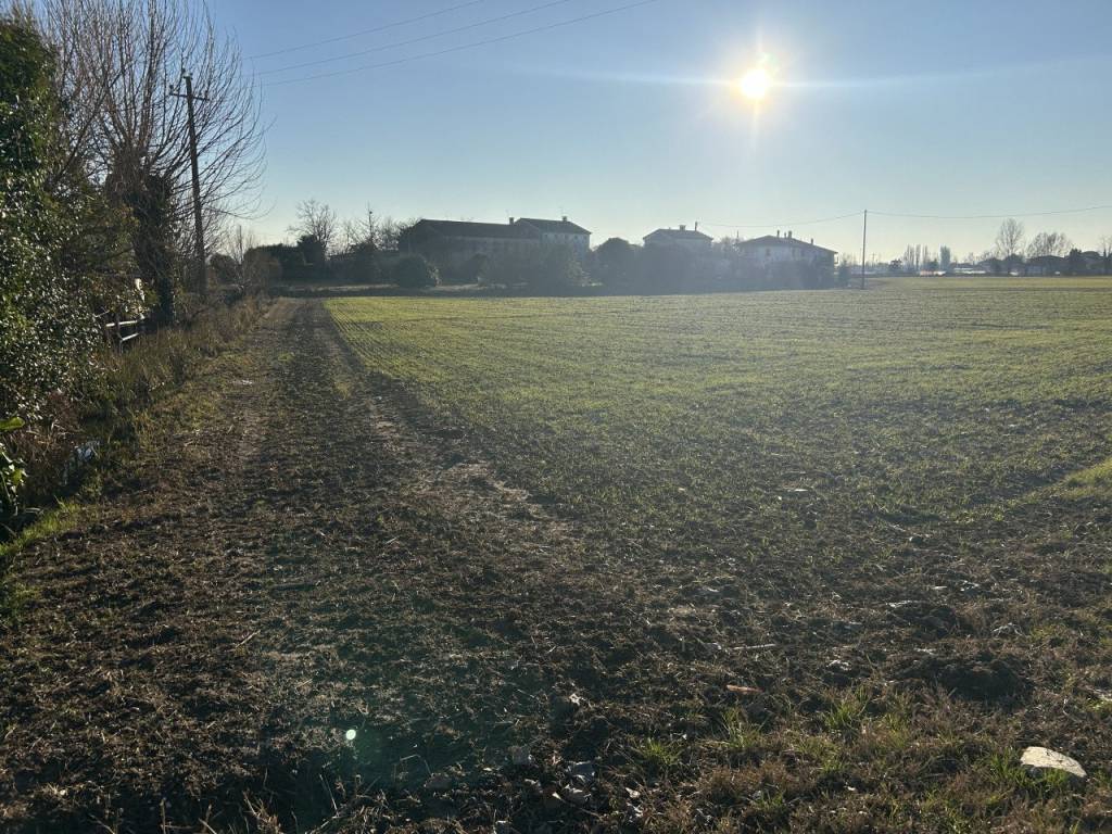 Terreno a Campodoro in Via Barchesa - Foto 5