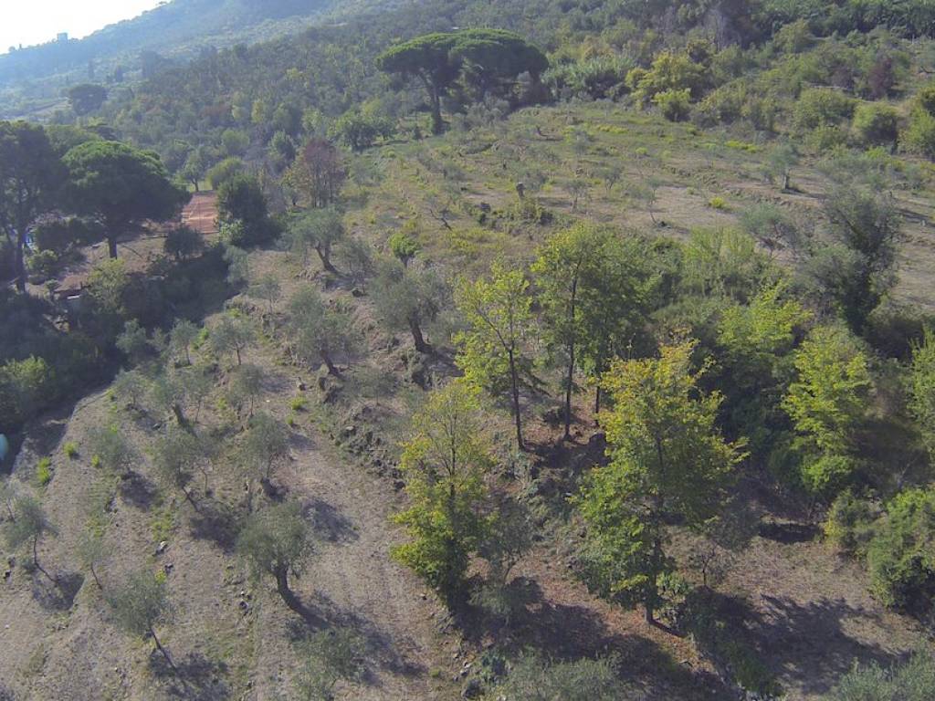 Terreno a Imperia in Strada Poggi - Foto 2