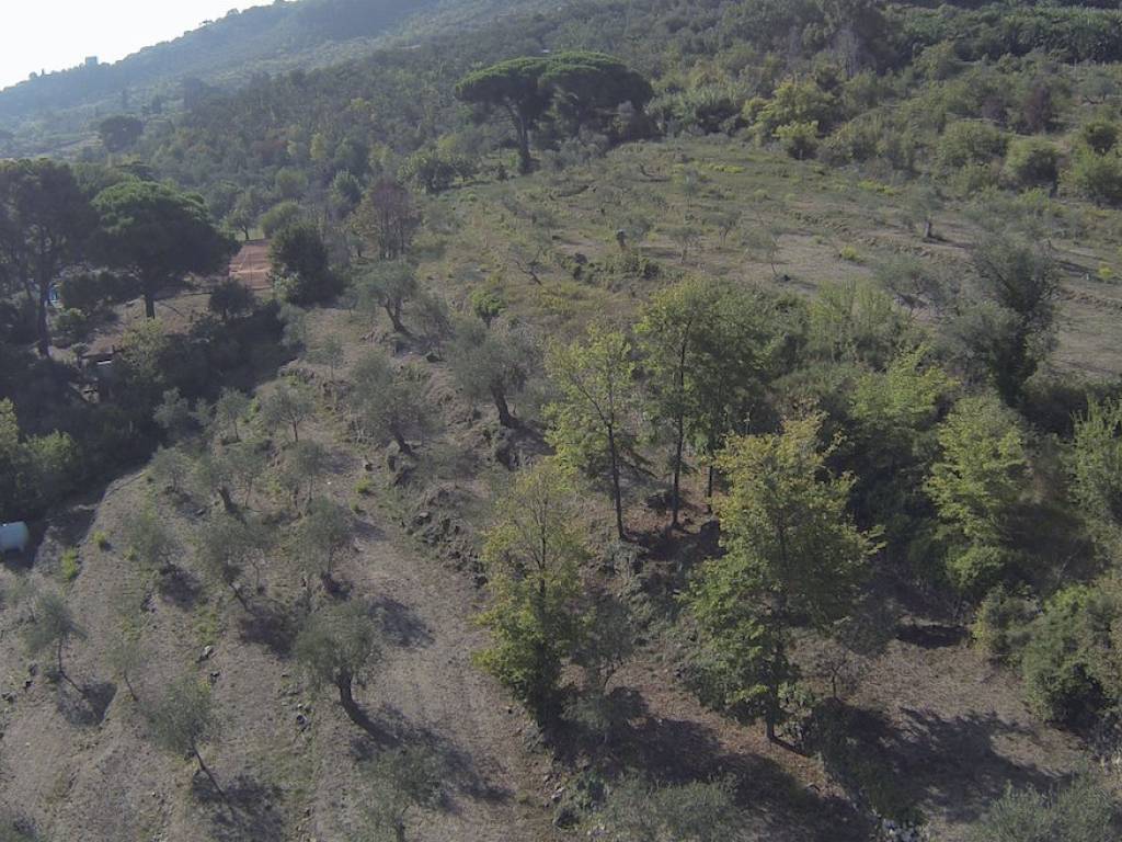 Terreno a Imperia in Strada Poggi - Foto 3