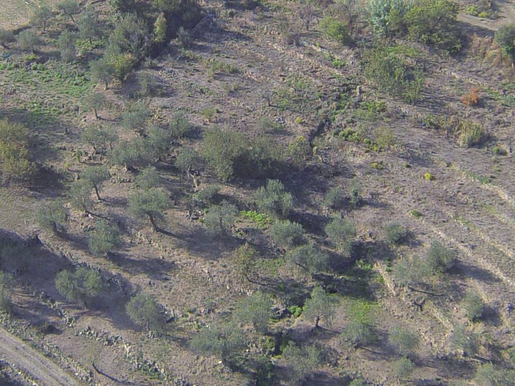 Terreno a Imperia in Strada Poggi - Foto 4