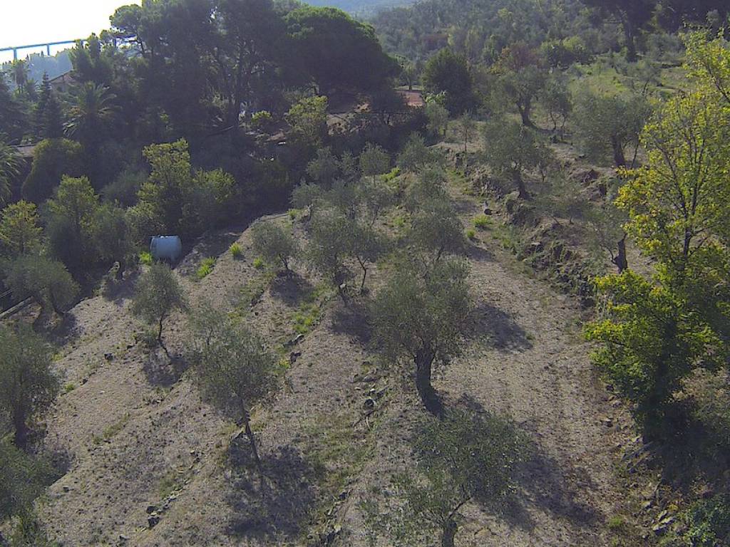 Terreno a Imperia in Strada Poggi - Foto 5