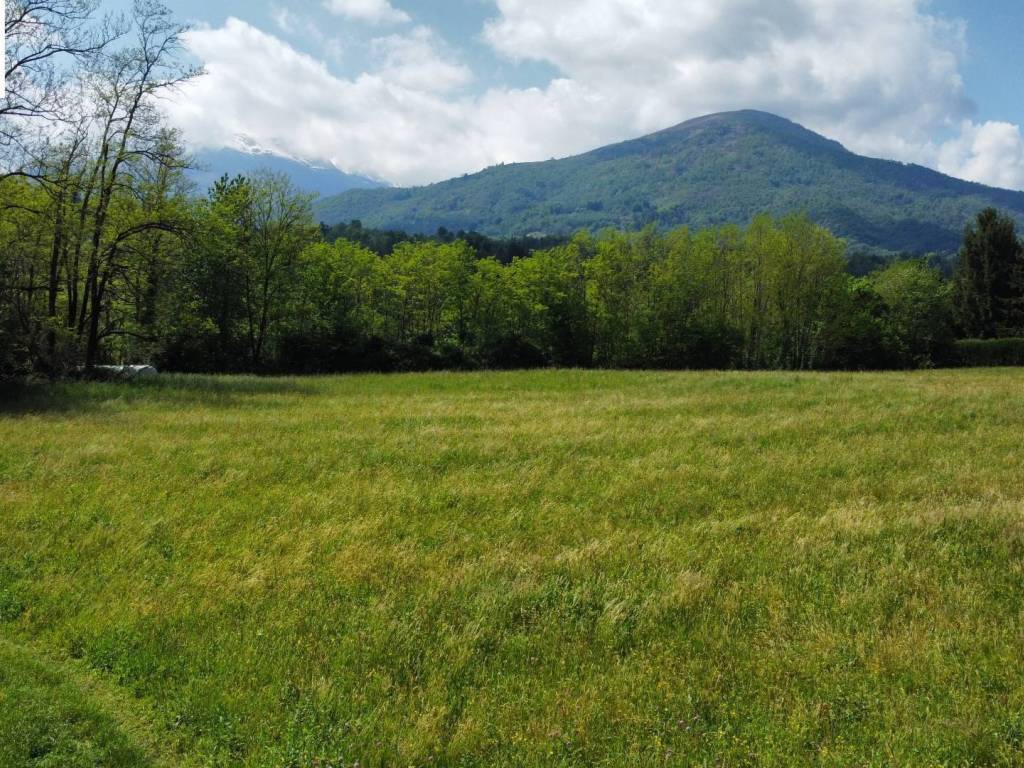 Terreno a Andorno micca in Piazza Salvo d'Acquisto - Foto 4