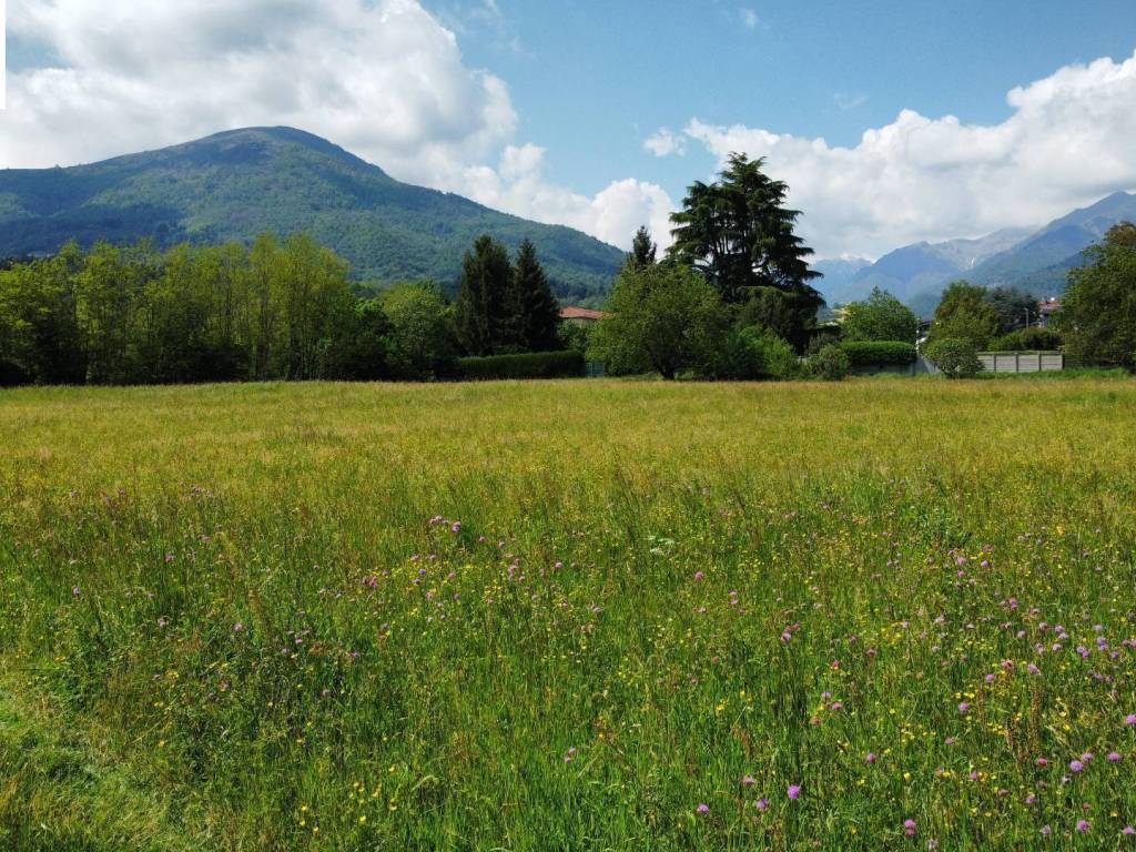 Terreno a Andorno micca in Piazza Salvo d'Acquisto - Foto 5