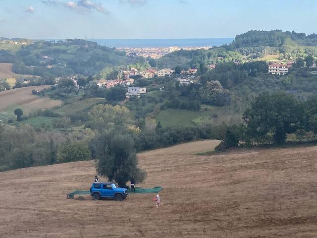 Rustico / casale a Pesaro in Strada della Pieve Vecchia - Foto 5
