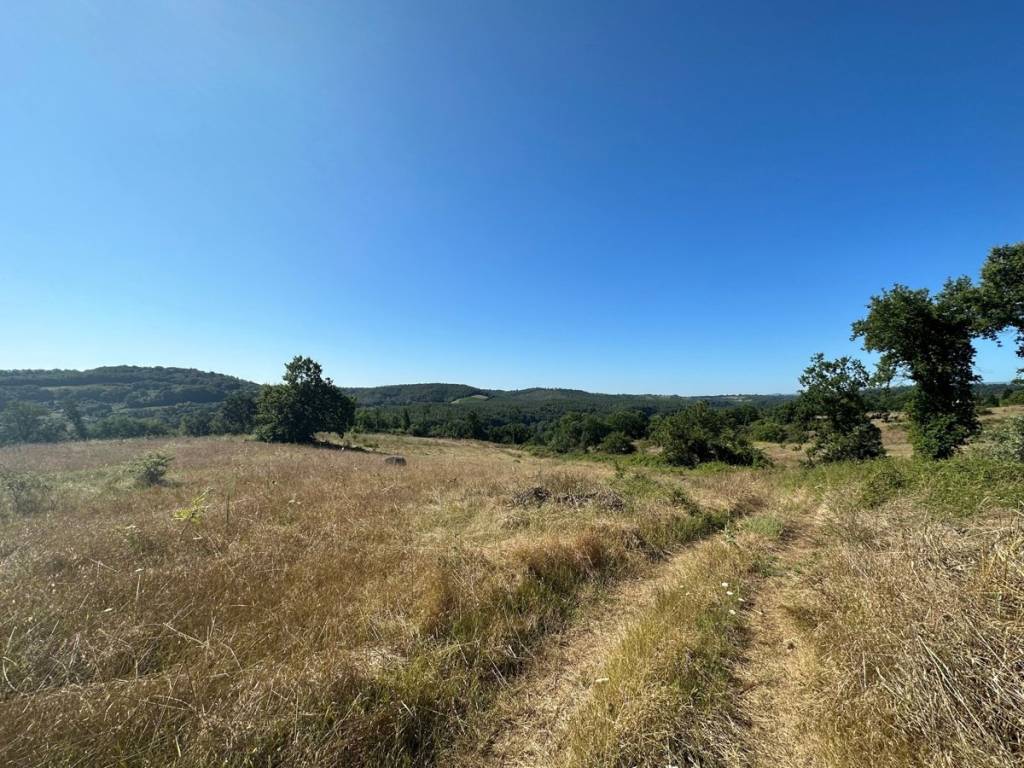 Terreno a Orte in Località Resano, snc - Foto 2