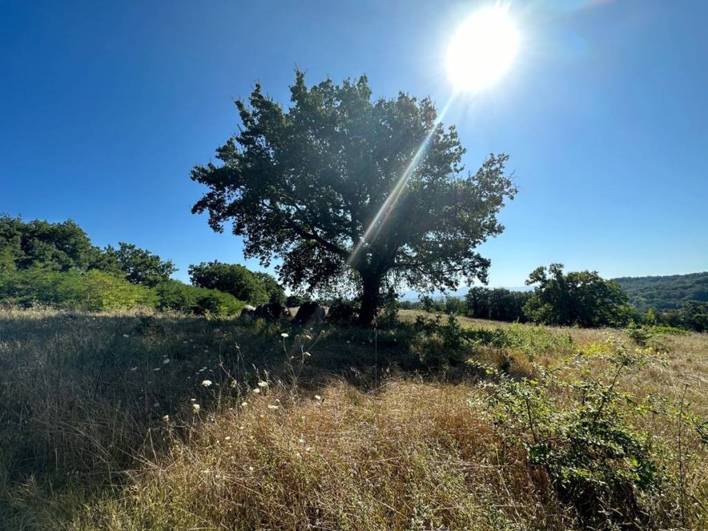 Terreno a Orte in Località Resano, snc - Foto 4