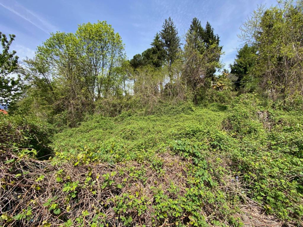 Terreno a Luino in Via Longhirolo - Foto 2