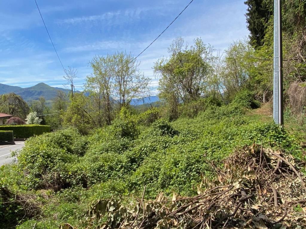 Terreno a Luino in Via Longhirolo - Foto 4
