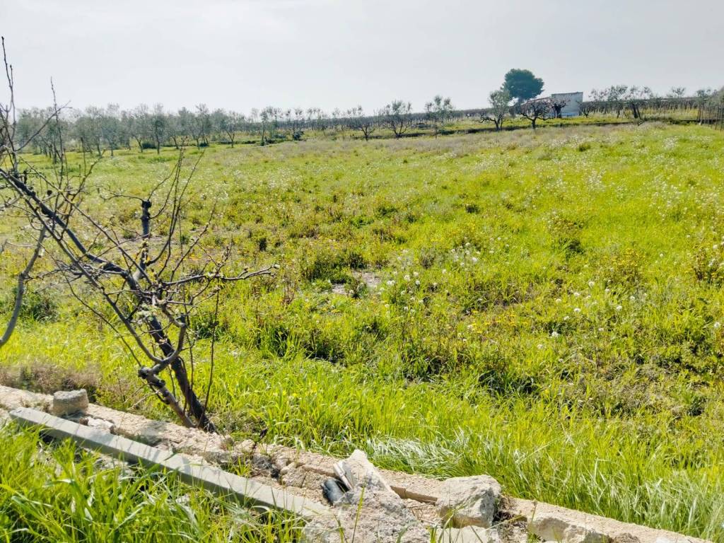 Terreno a Trani - Foto 2