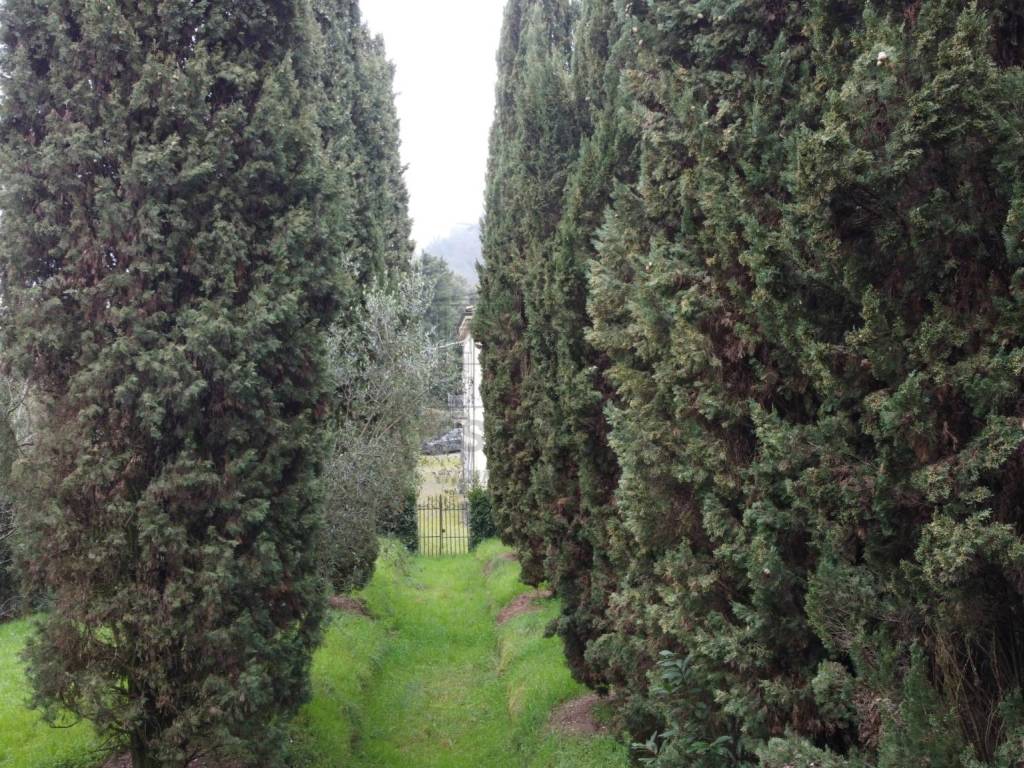 Villa a Lucca in via di montecatino - Foto 4