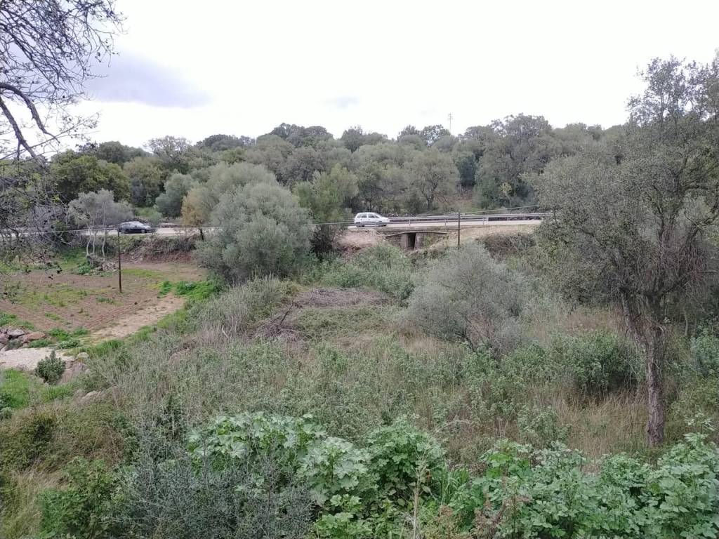 Terreno a Dorgali in Strada Statale Orientale Sarda - Foto 3
