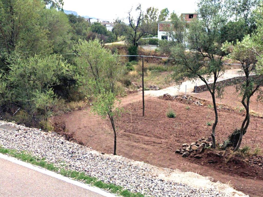 Terreno a Dorgali in Strada Statale Orientale Sarda - Foto 4