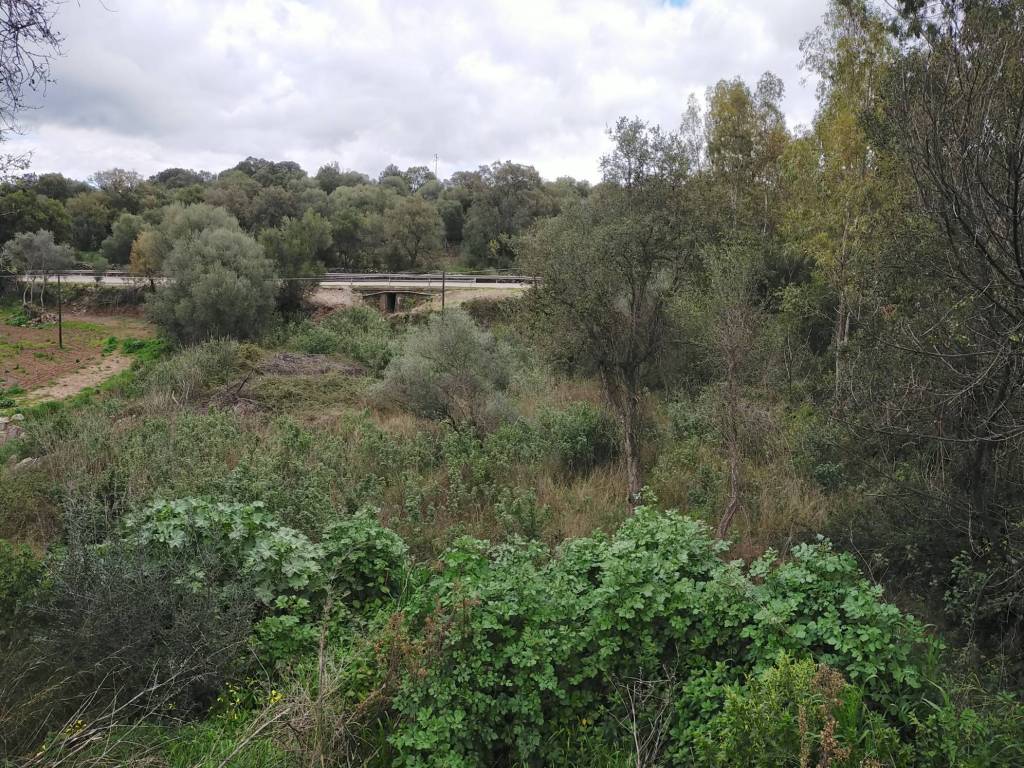 Terreno a Dorgali in Strada Statale Orientale Sarda - Foto 5