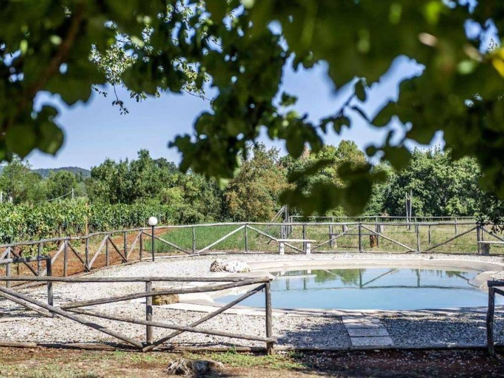 Villa a Gavorrano - Foto 4