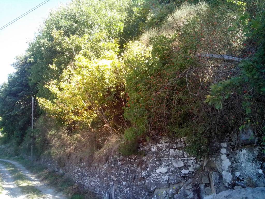 Villa a Bibbiena in Località Casa Biagino - Foto 4