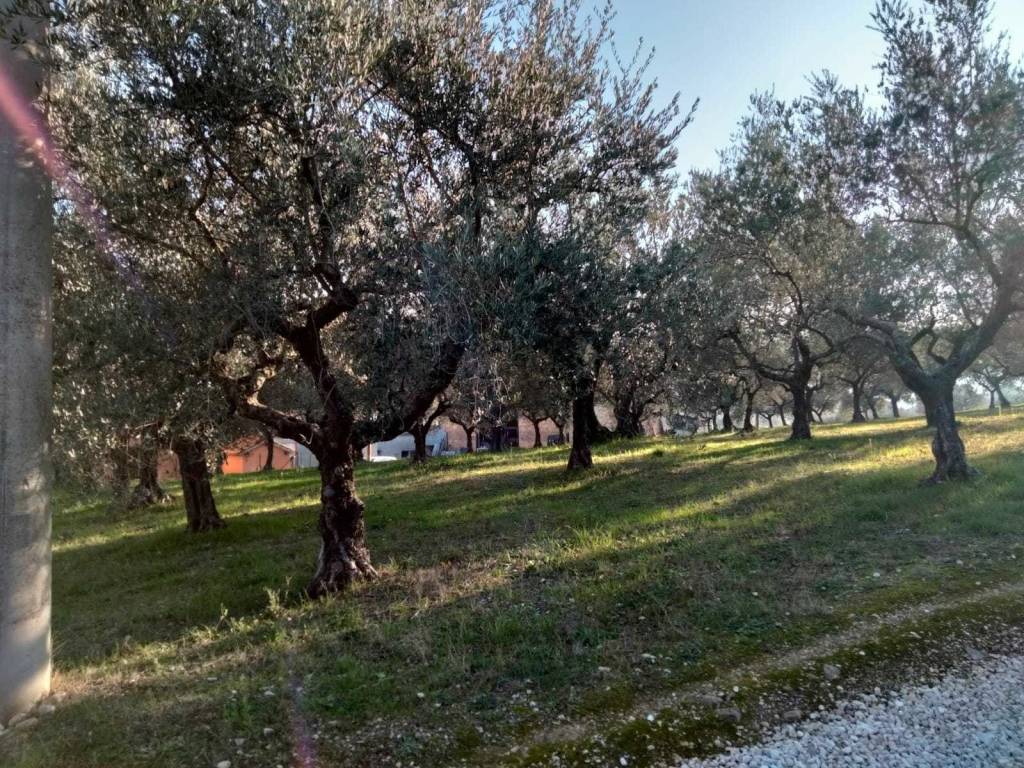 Terreno a Spoltore in Via Pescarina - Foto 2