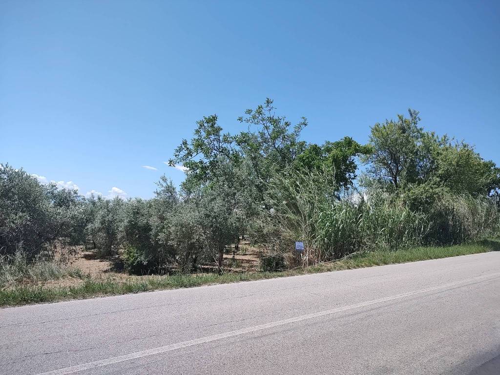 Terreno a Spoltore in Via Pescarina - Foto 3