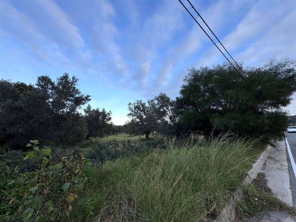 Villa a Montepaone - Foto 4