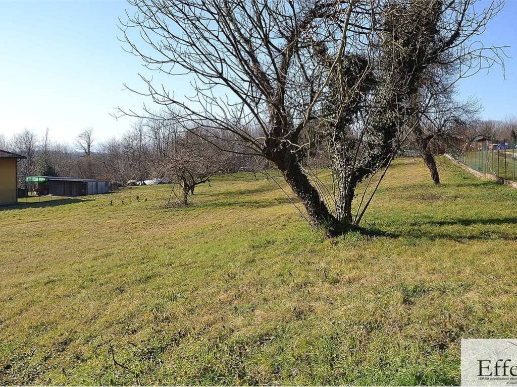 Terreno a Biandronno in via Giuseppe Verdi - Foto 3