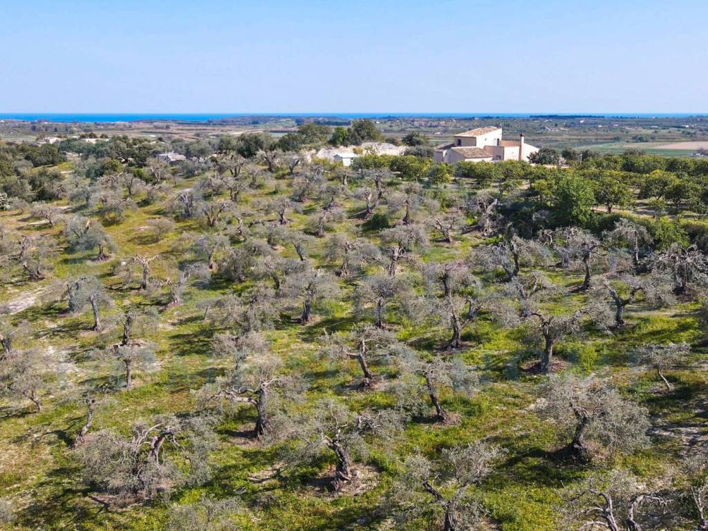 Terreno a Noto in Via Tommaso Fazello, 228 - Foto 2
