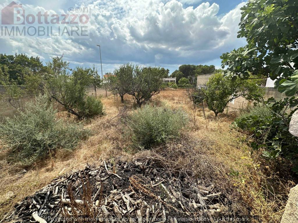 Terreno a Lizzano in Via Vittorio Veneto, 24 - Foto 5