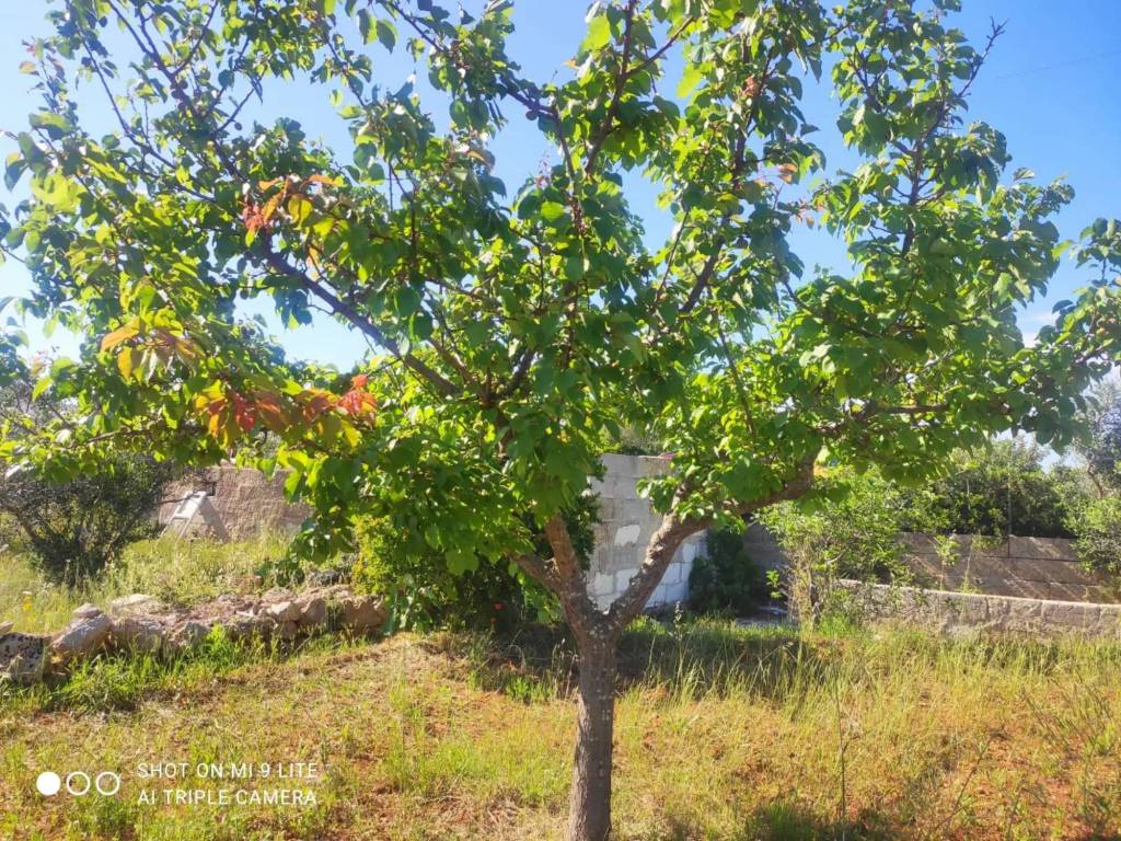 Terreno a Morciano di leuca in Via Murge - Foto 3