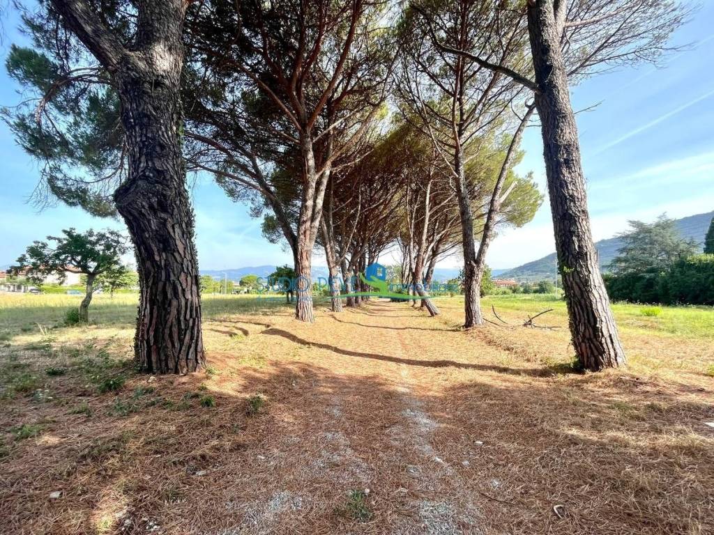Rustico / casale a Monsummano terme in Via Fonda - Foto 2