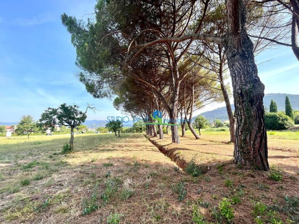 Rustico / casale a Monsummano terme in Via Fonda - Foto 3