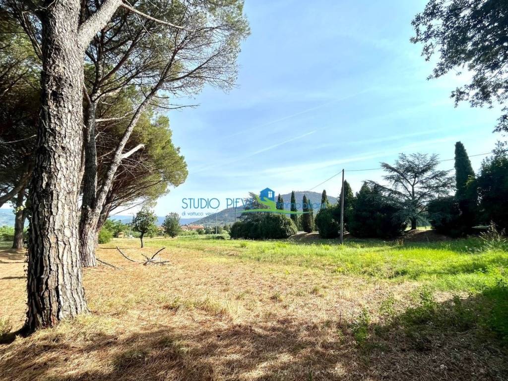 Rustico / casale a Monsummano terme in Via Fonda - Foto 4