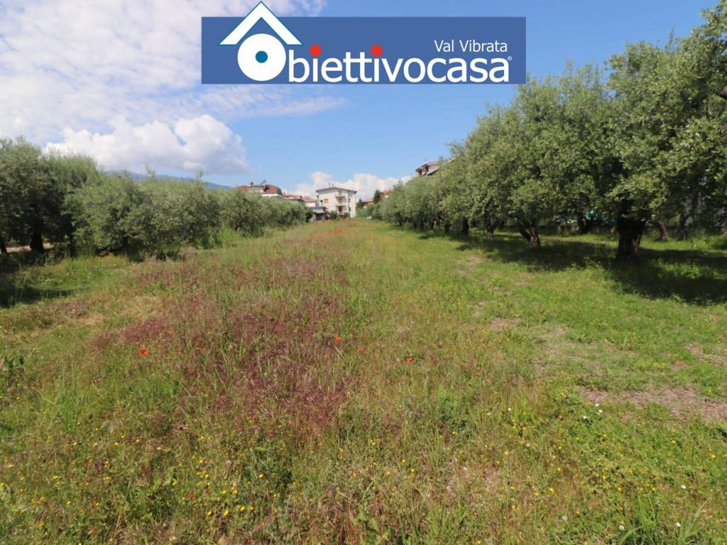 Villa a Sant'egidio alla vibrata in Via Giuseppe Verdi, 121 - Foto 4